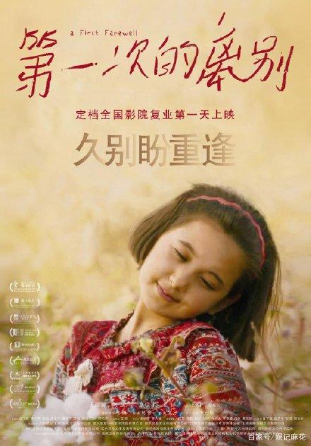 做个斯洛文尼亚驾驶证